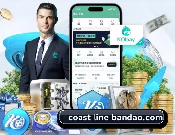 半岛体育 APP