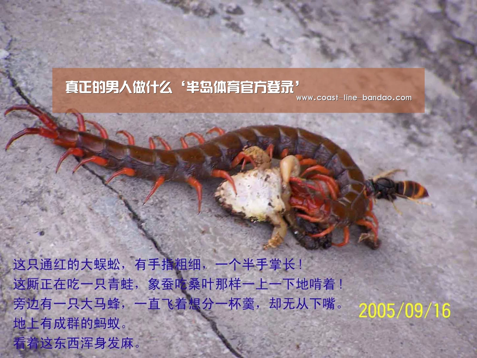 半岛体育官方登录